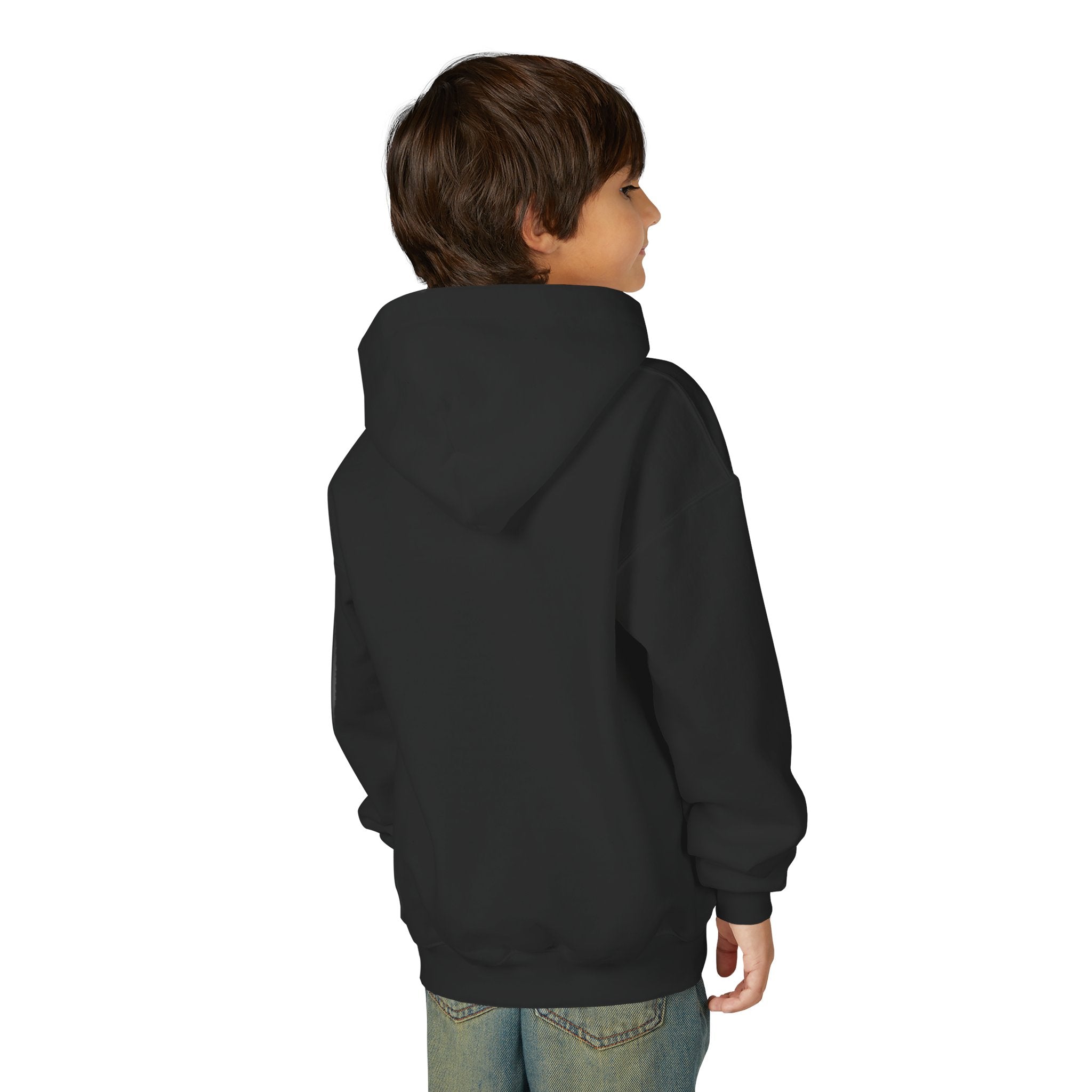 Youth Hoodie — Small Black Solar System Crest Chest Logo, Kids  Graphic Pullover