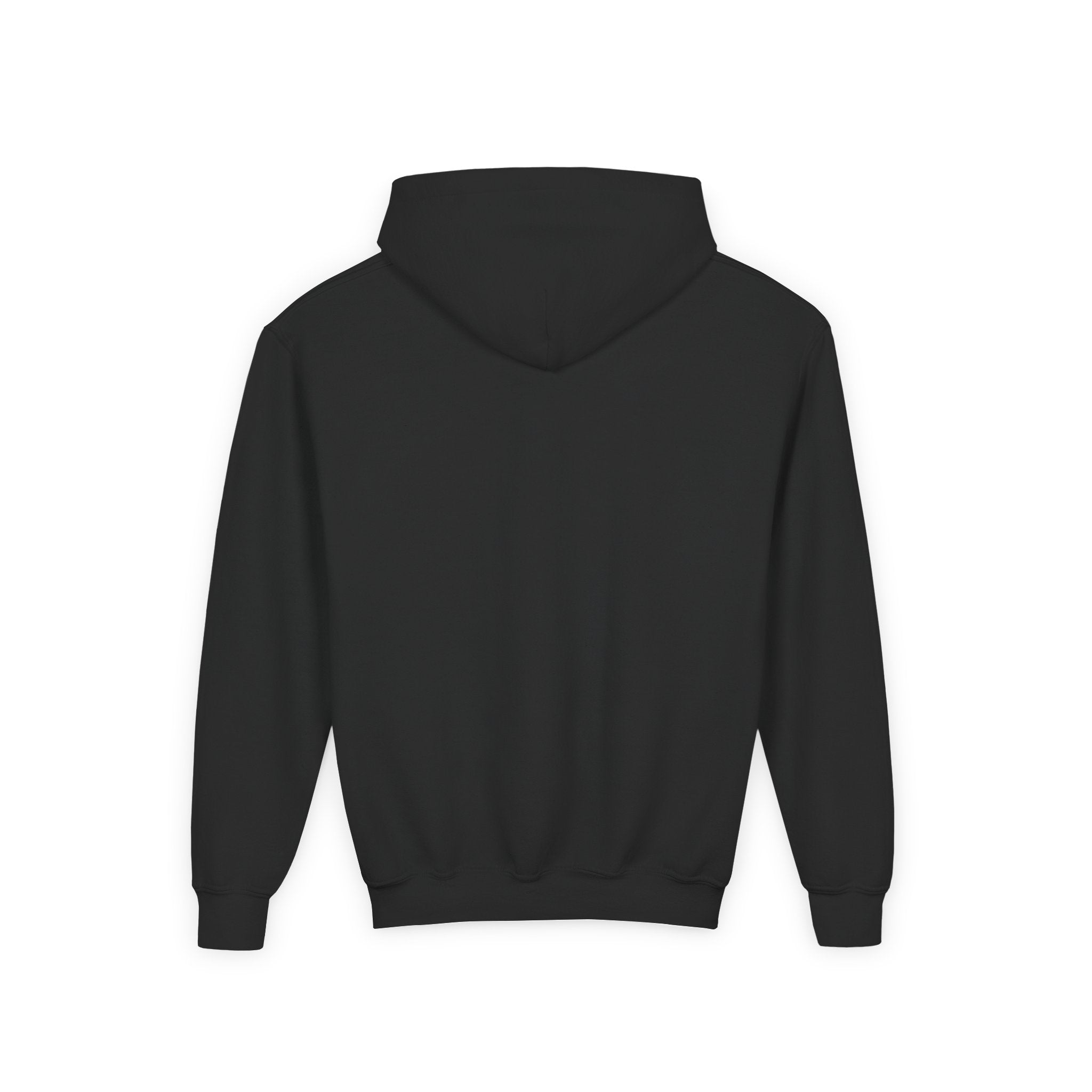 Youth Hoodie — Small Black Solar System Crest Chest Logo, Kids  Graphic Pullover